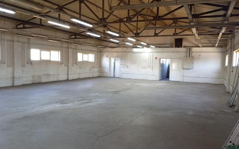 Hala industriala in sos.Borsului , jud Bihor de inchiriat