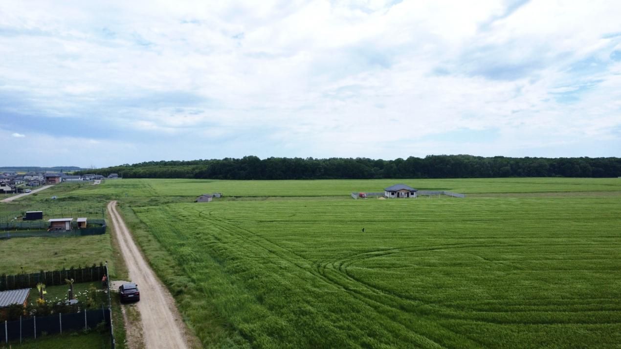 ✨OPORTUNITATE INVESTIȚIE:Teren intravilan 25.000mp Dascălu-Pădure, parcelabil✨ – fotografia 11 din 14