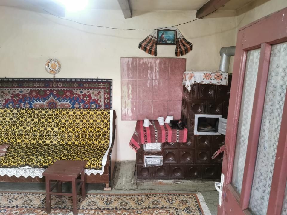Casa individuala 100mp cu teren 8000mp – fotografia 17 din 21