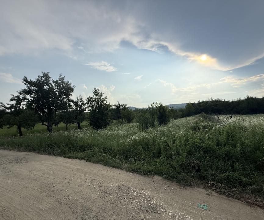 Teren de vânzare în Topoloveni | Zonă liniștită, aproape de oraș – fotografia 2 din 5