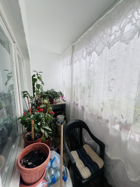 Apartament 2 camere, semidecomandat, 60 mp, parter, zona Lipovei – fotografia 6 din 7