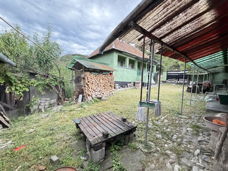 Casă în Cricău cu 1.375 mp teren, anexe, utilități, vie și livadă - Oportunitate – fotografia 22 din 54