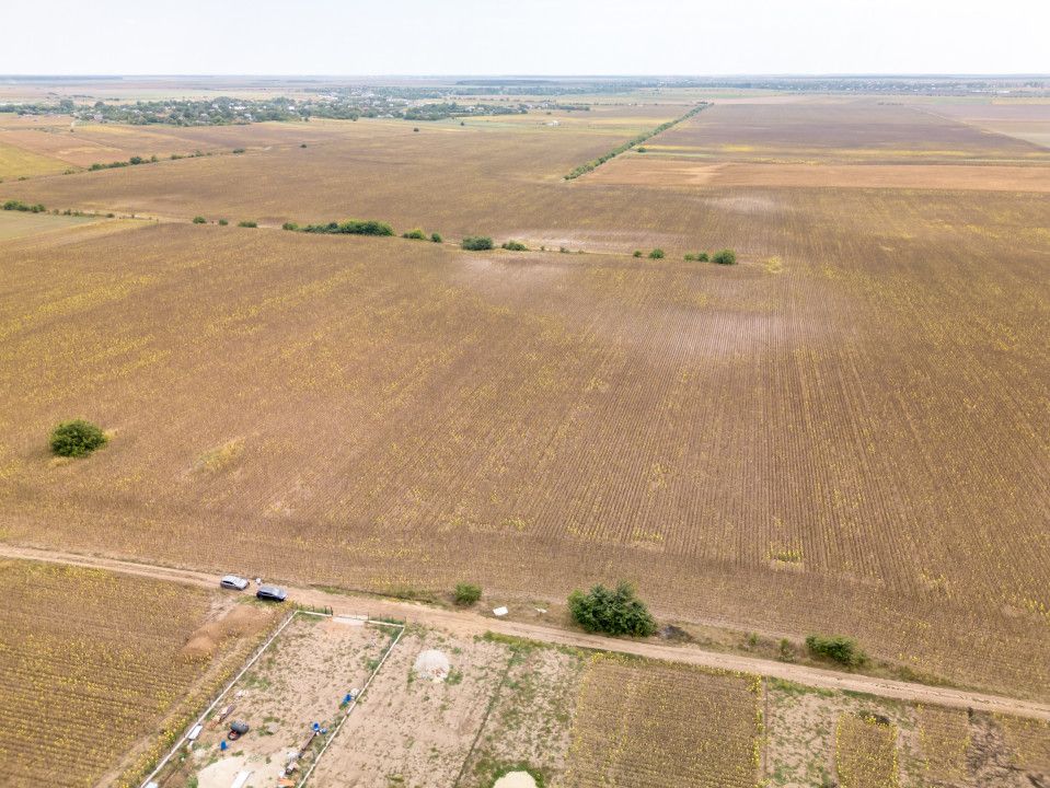 DASCALU – TEREN INTRAVILAN 11300 MP, INVESTITIE! – fotografia 3 din 18
