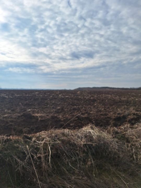 Teren extravilan de vanzare in suprafata de 15800 mp in Salistea, judet Alba – fotografia 3 din 3