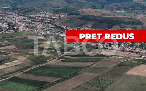 Teren  intravilan 9300 mp de vanzare cu acces la utilitati  Sura Mare
