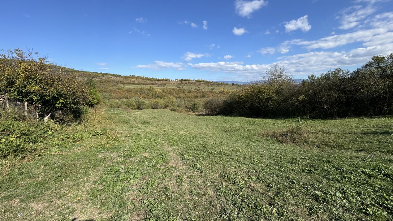 🏡 Teren intravilan de vânzare - 4.443 mp, parcelat în 4 loturi – fotografia 1 din 3