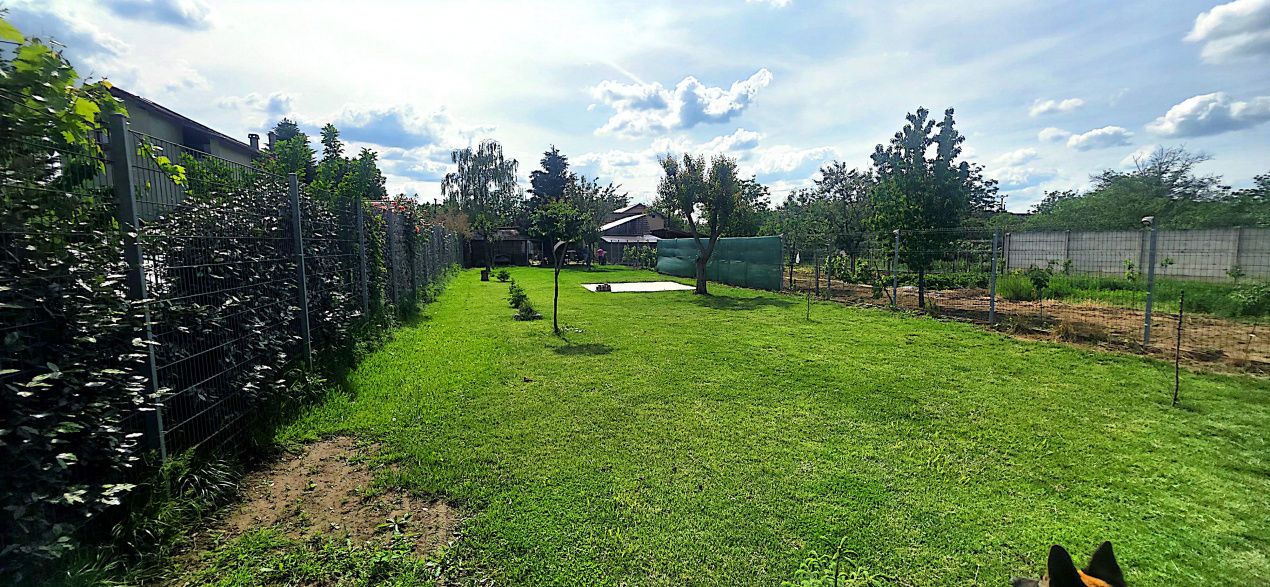 Casa in Minis – fotografia 15 din 24