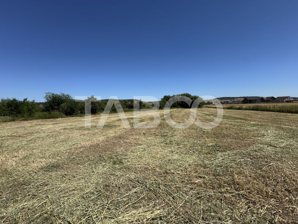 Teren intravilan 3752 mp parcelabil zona fostelor sere Cristian Sibiu – fotografia 5 din 6