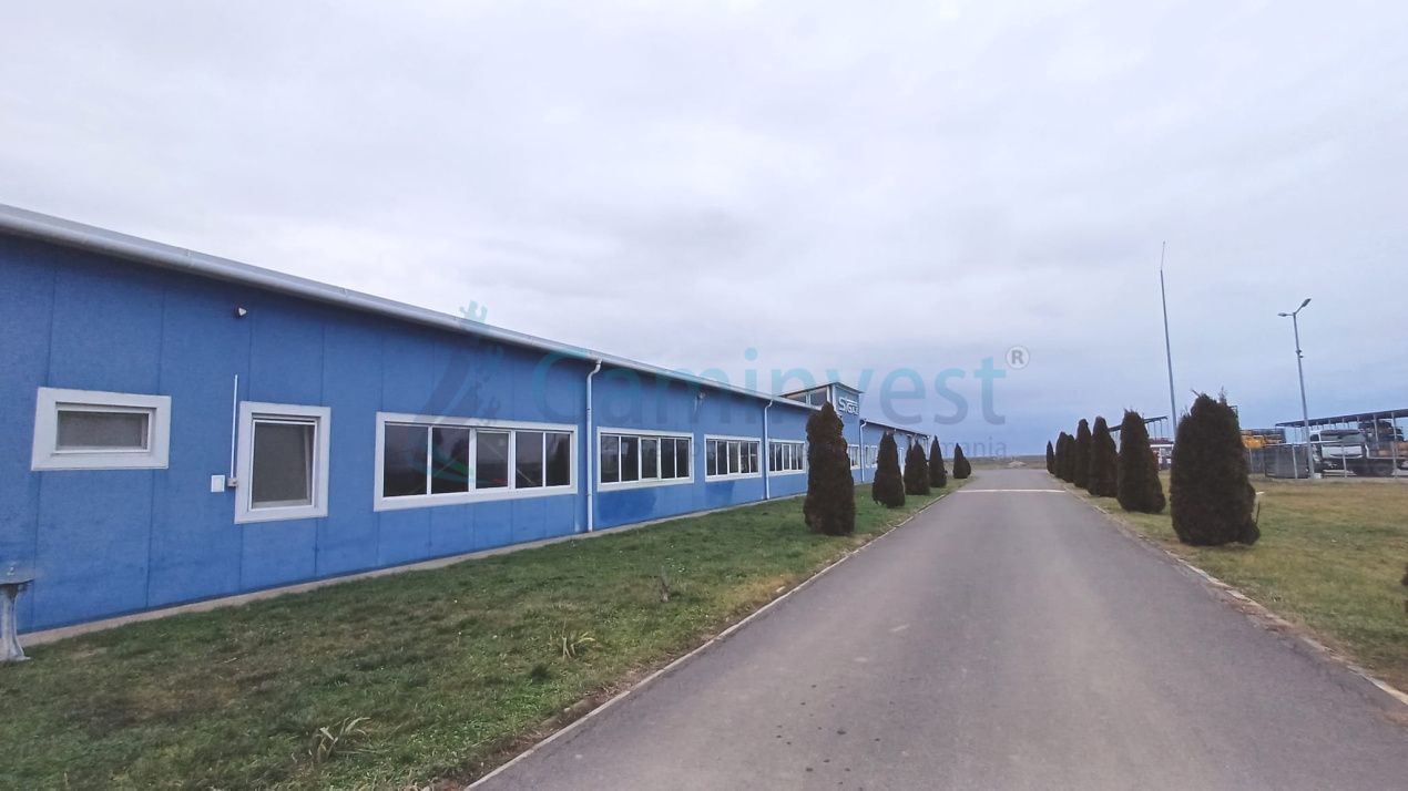 Spatiu industrial de vanzare in Biharia, hala 1200 mp si 23772 mp teren – fotografia 3 din 17