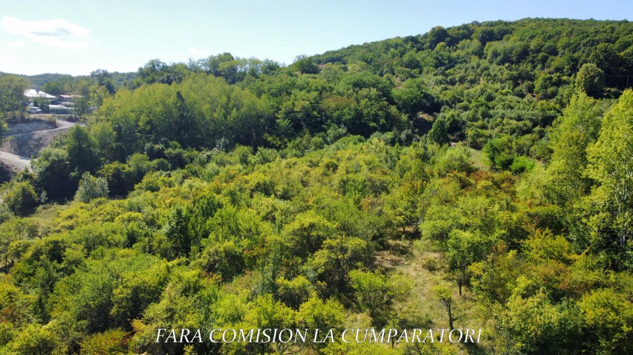 TEREN LANGA ORAS, CADRU NATURAL MINUNAT – fotografia 6 din 14