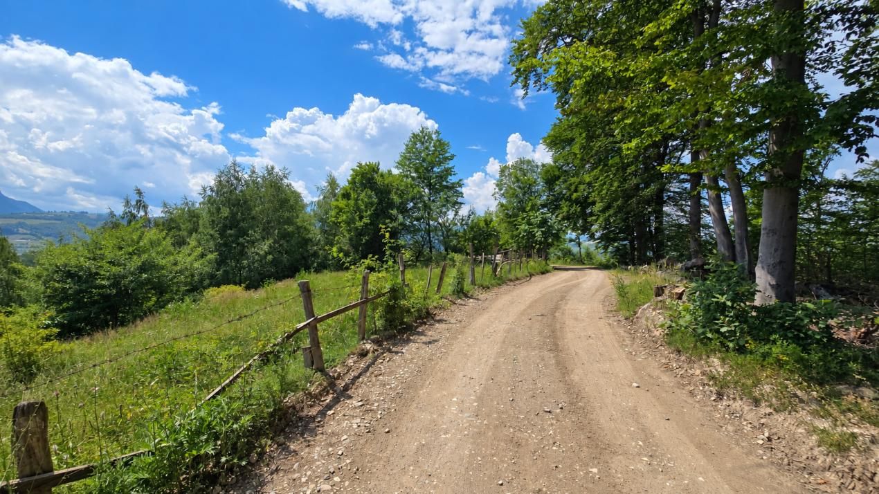 De vânzare teren de 4000 mp cu potențial în Poiana Mărului – fotografia 3 din 5