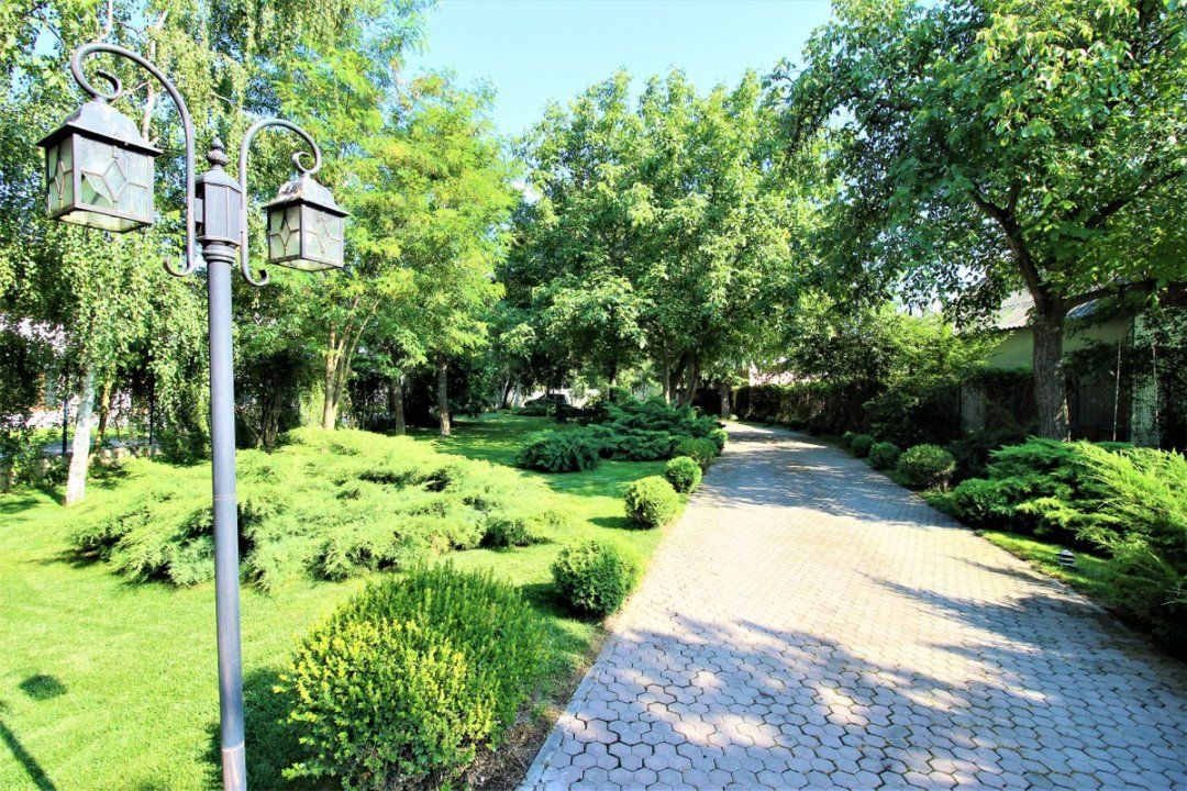 Vila exclusivistă – Buftea – Oportunitate unică! – fotografia 5 din 38