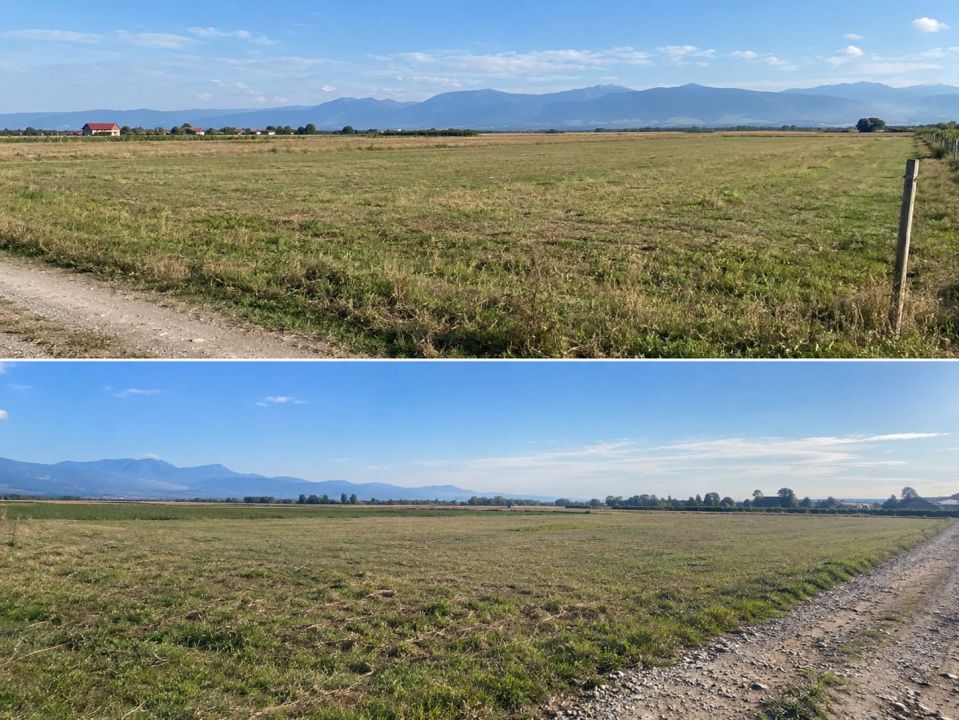 🌳 TEREN EXTRAVILAN 4.700 MP – AVrig, lângă pădure | 55.000 € – fotografia 2 din 2