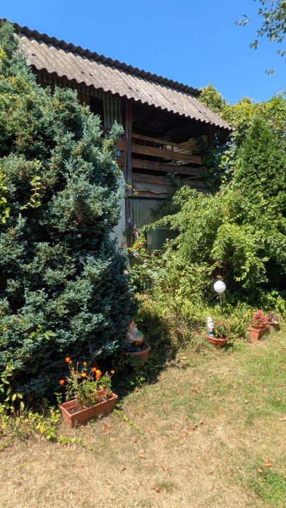 Teren intravilan Tocile, 1.093 mp / livadă, cabană, rulotă și o toamna frumoasă! – fotografia 29 din 37
