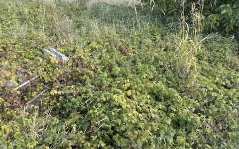 TEREN INTRAVILAN 480 MP I APA, GAZ, CURENT I DESCHIDERE LA STRADA 25 ML