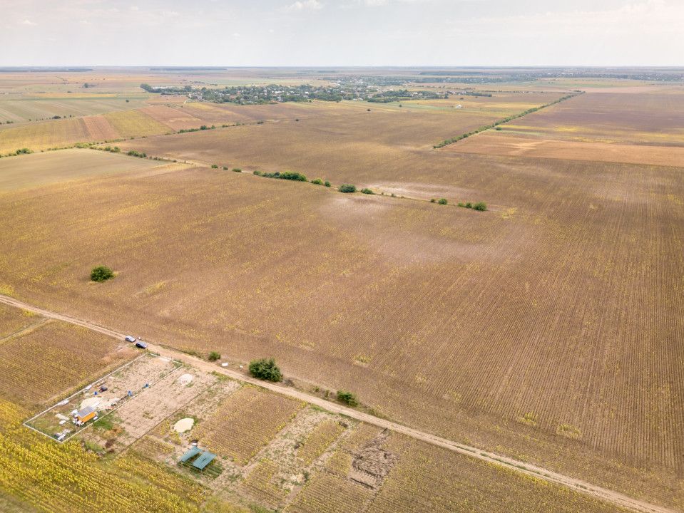 DASCALU – TEREN INTRAVILAN 11300 MP, INVESTITIE! – fotografia 4 din 18