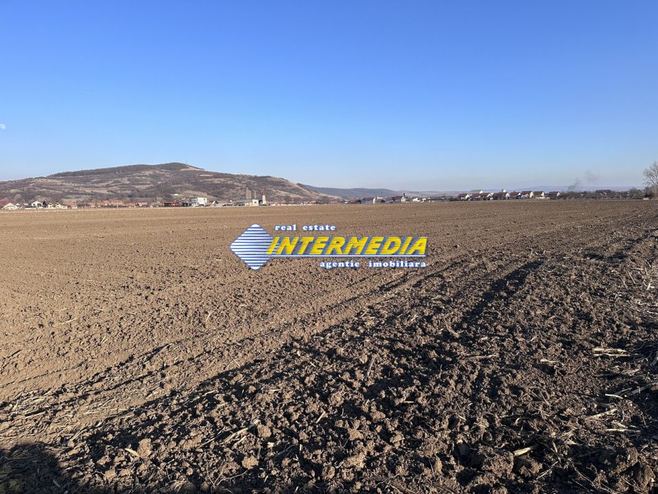Teren intravilan de vanzare in Sard suprafete 600-800 mp – fotografia 2 din 5