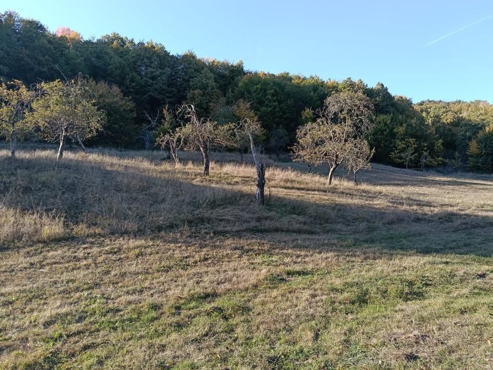 TERENUL PE CARE NU-L CAUȚI… DAR CÂND ÎL VEZI, ÎL VREI! – fotografia 8 din 12