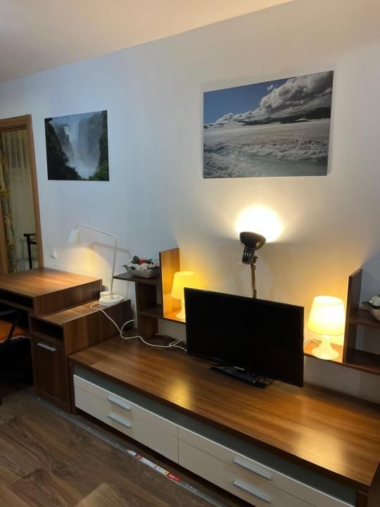Apartament 3 camere de închiriat, 2 bai, cheltuieli incluse, UMF – fotografia 35 din 43