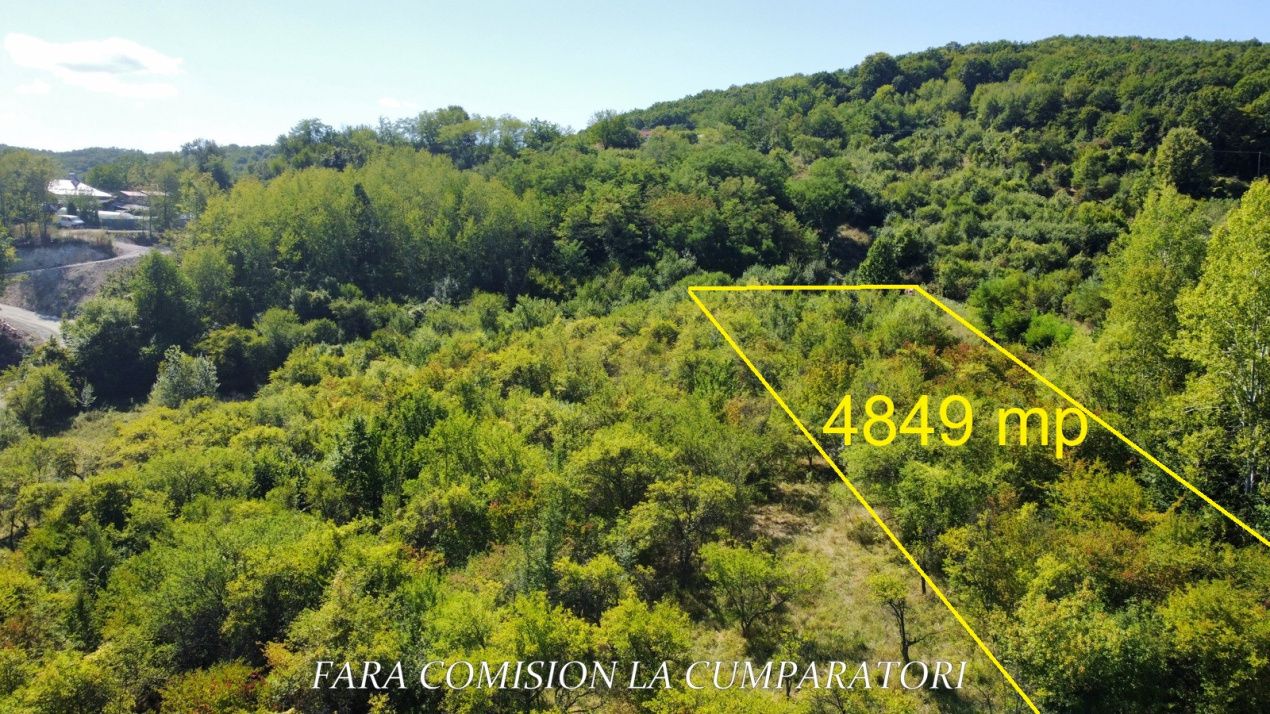 TEREN LANGA ORAS, CADRU NATURAL MINUNAT – fotografia 8 din 14
