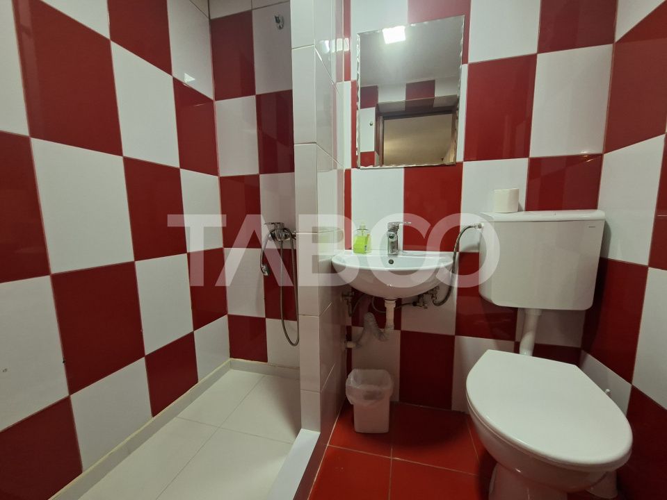 Spatiu de vanzare in Valea Macesului judel Valcea iesire la Lotru – fotografia 18 din 49