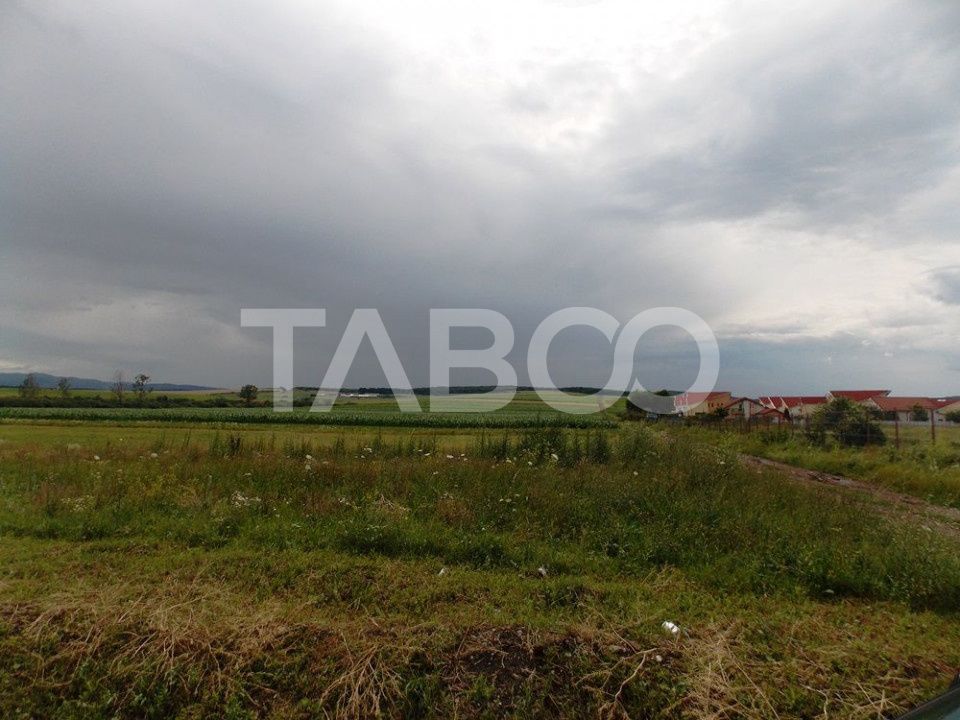 Teren de vanzare 10000 mp CF 107274 deschidere de 42 m in Sura Mica – fotografia 8 din 8