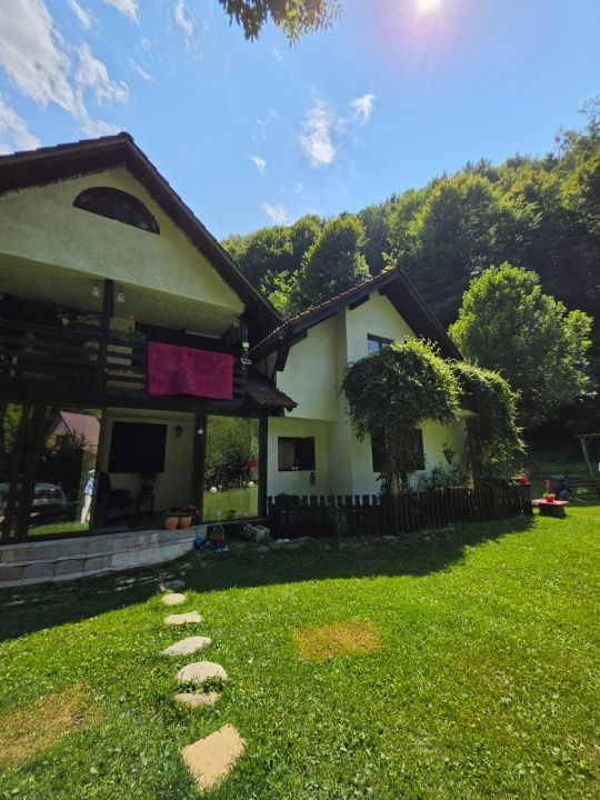 🏡 PROPRIETATE EXTRAORDINARĂ– LOTRIOARA, JUDEȚUL SIBIU! 🌲 – fotografia 71 din 72