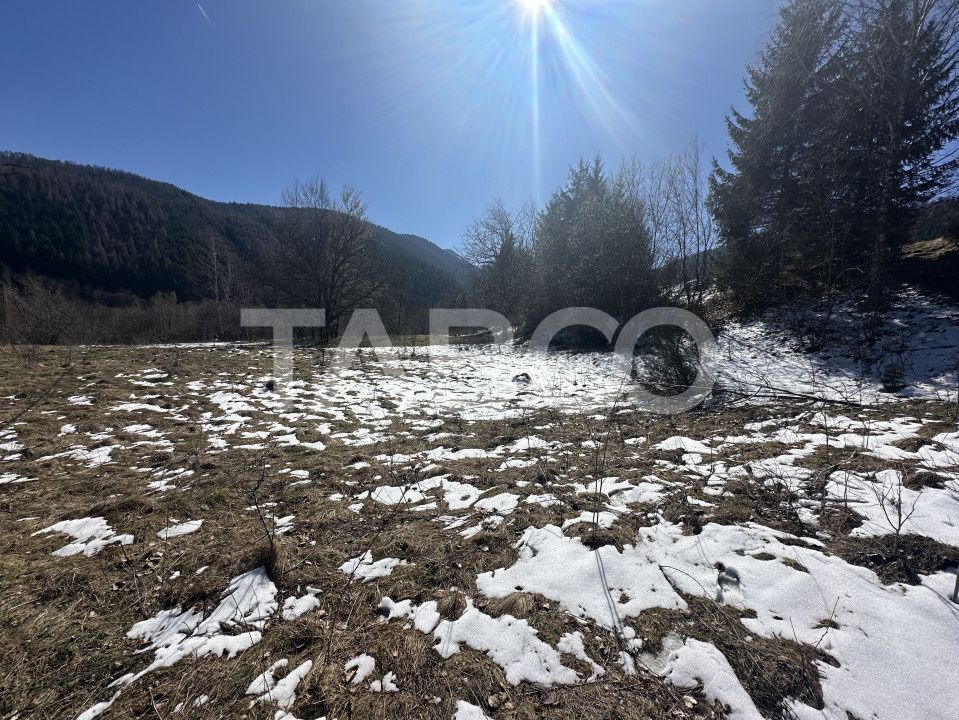 Teren extravilan 4600 mp cu acces la rau Satul de Vacanta Dejani – fotografia 2 din 5