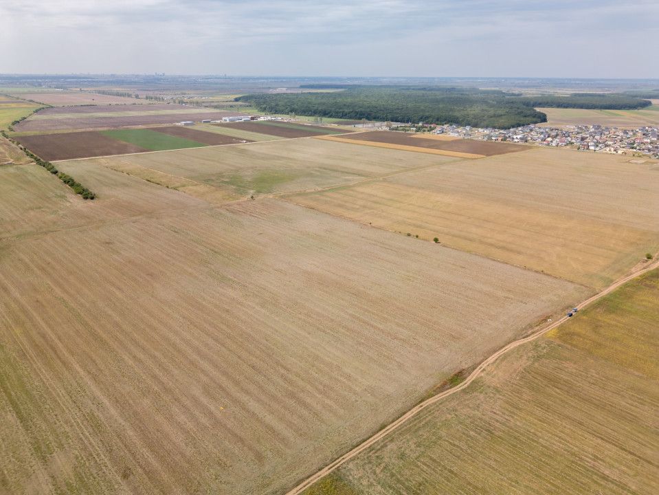 DASCALU - TEREN INTRAVILAN 7500 MP, INVESTITIE! – fotografia 7 din 17