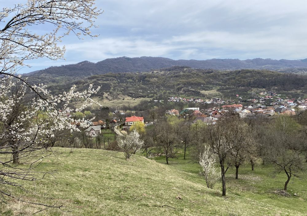 🏡 Oportunitate investiție în Corbi, Argeș | 22.000 mp teren în zonă de poveste – fotografia 1 din 8