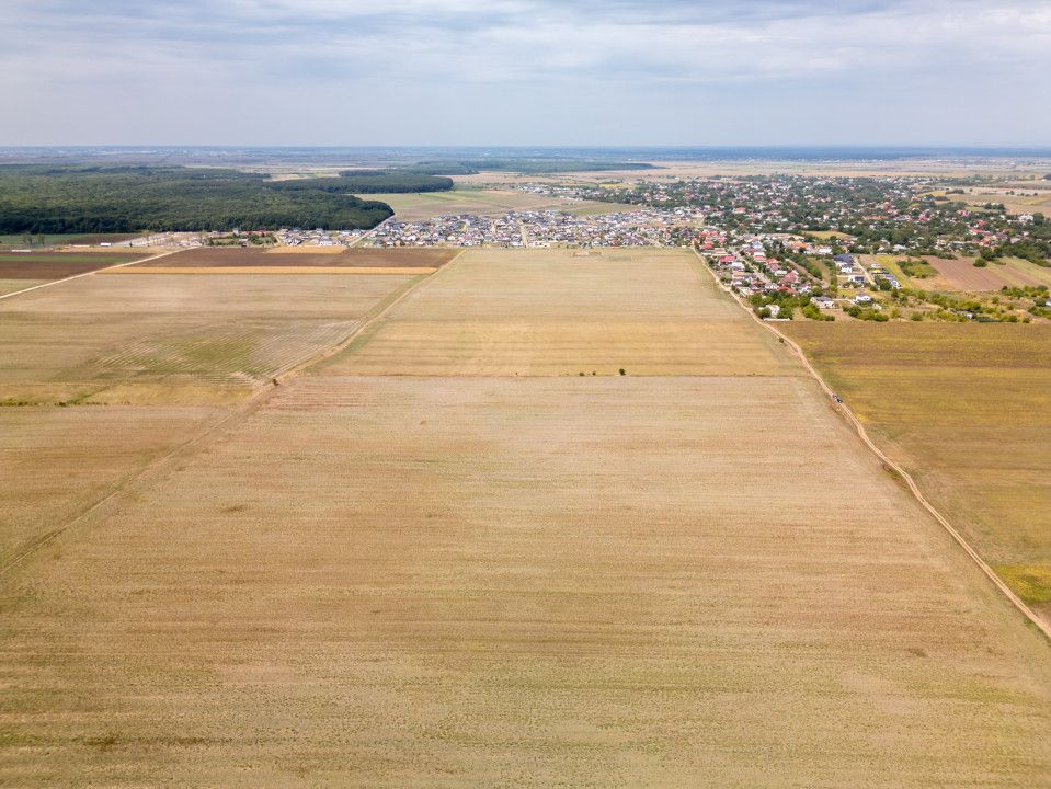 DASCALU - TEREN INTRAVILAN 7500 MP, INVESTITIE! – fotografia 9 din 17