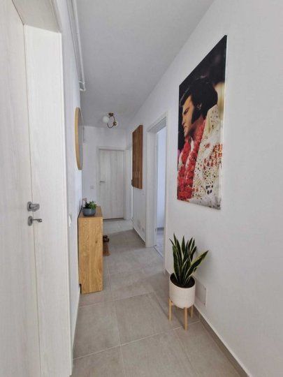 3 Camere de inchiriat | Theodor Pallady | PetFriendly | Centrala | – fotografia 6 din 8