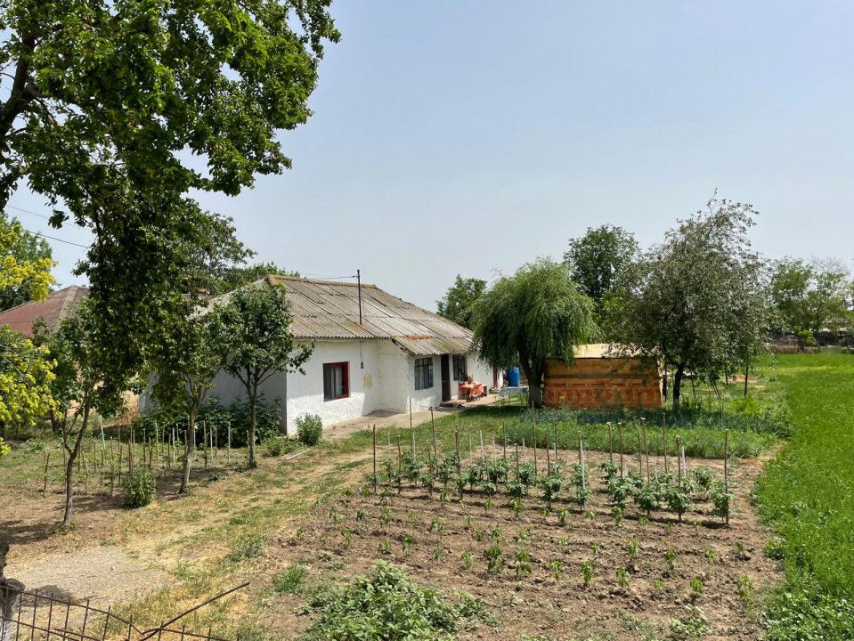 Teren intravilan 2.581 mp de vânzare în Mihail Kogălniceanu – deschidere 36,84ml – fotografia 5 din 14