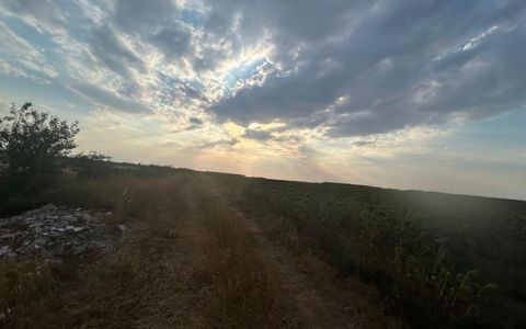 Teren intravilan, 9500 mp, Carcea