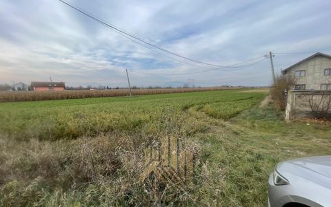 Vanzare-Teren-intravilan-6250mp-Calea-Feldioarei-Stupini-Brasov