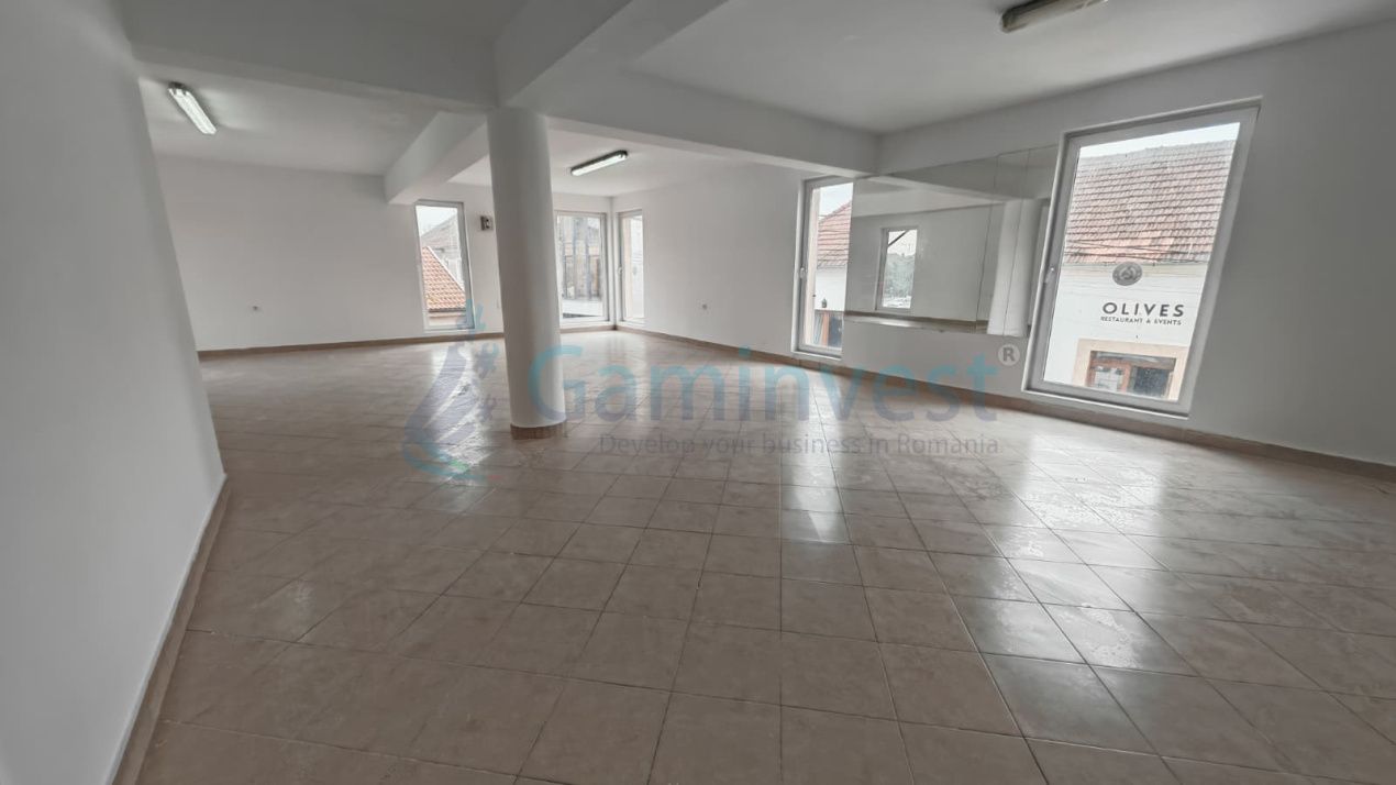 Imobil cu destinatie multipla - comercial, clinica birouri, in Alesd, Bihor – fotografia 3 din 8