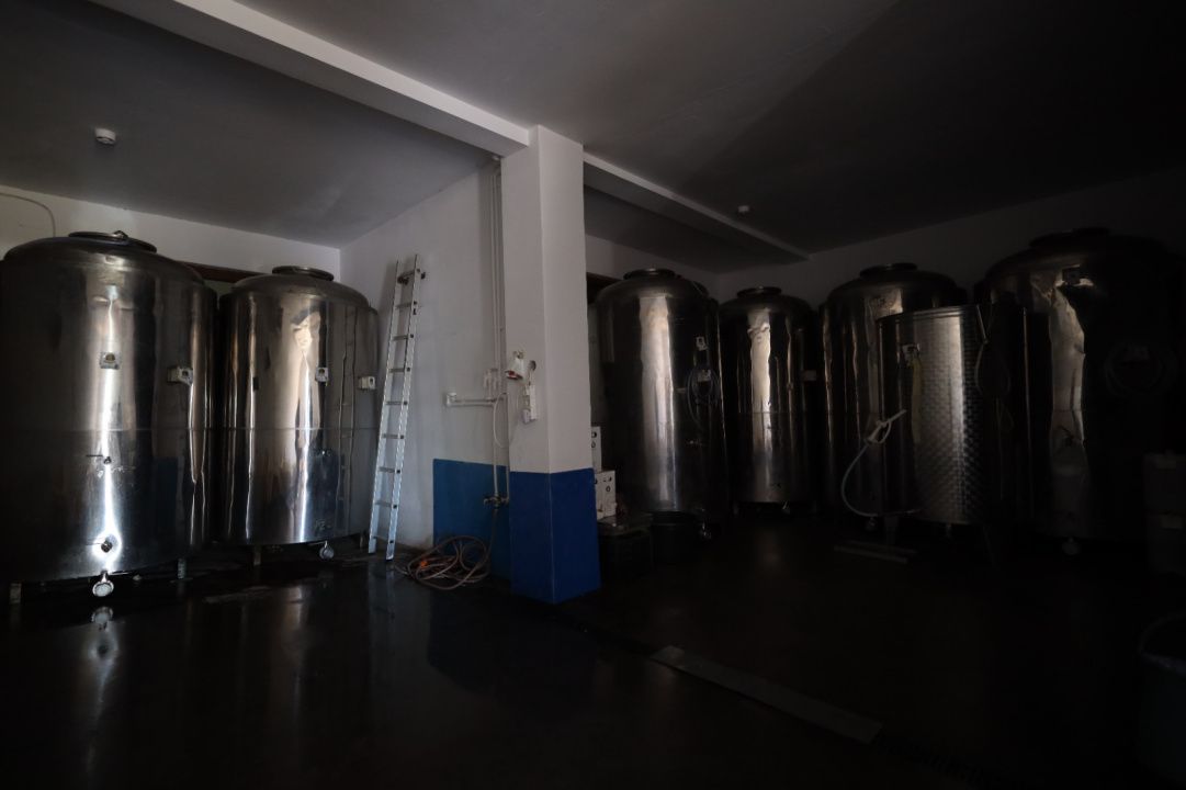 🍷 Oportunitate unică de investiție în inima Transilvaniei! Crama Mugurel! – fotografia 5 din 13