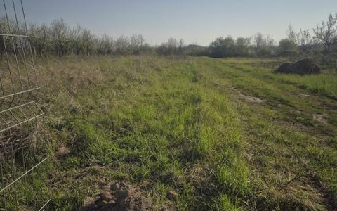 De vanzare teren la munte , in Rucar , zona Iezer Papusa, Arges,