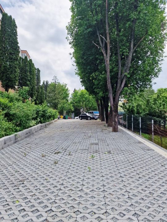 Cladire administrativa in zona Gradinii Botanice – fotografia 10 din 22