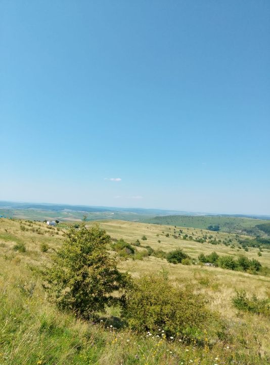 De vânzare 2 parcele de teren intravilan, Chinteni, preț unitar 10900 Eur – fotografia 2 din 3
