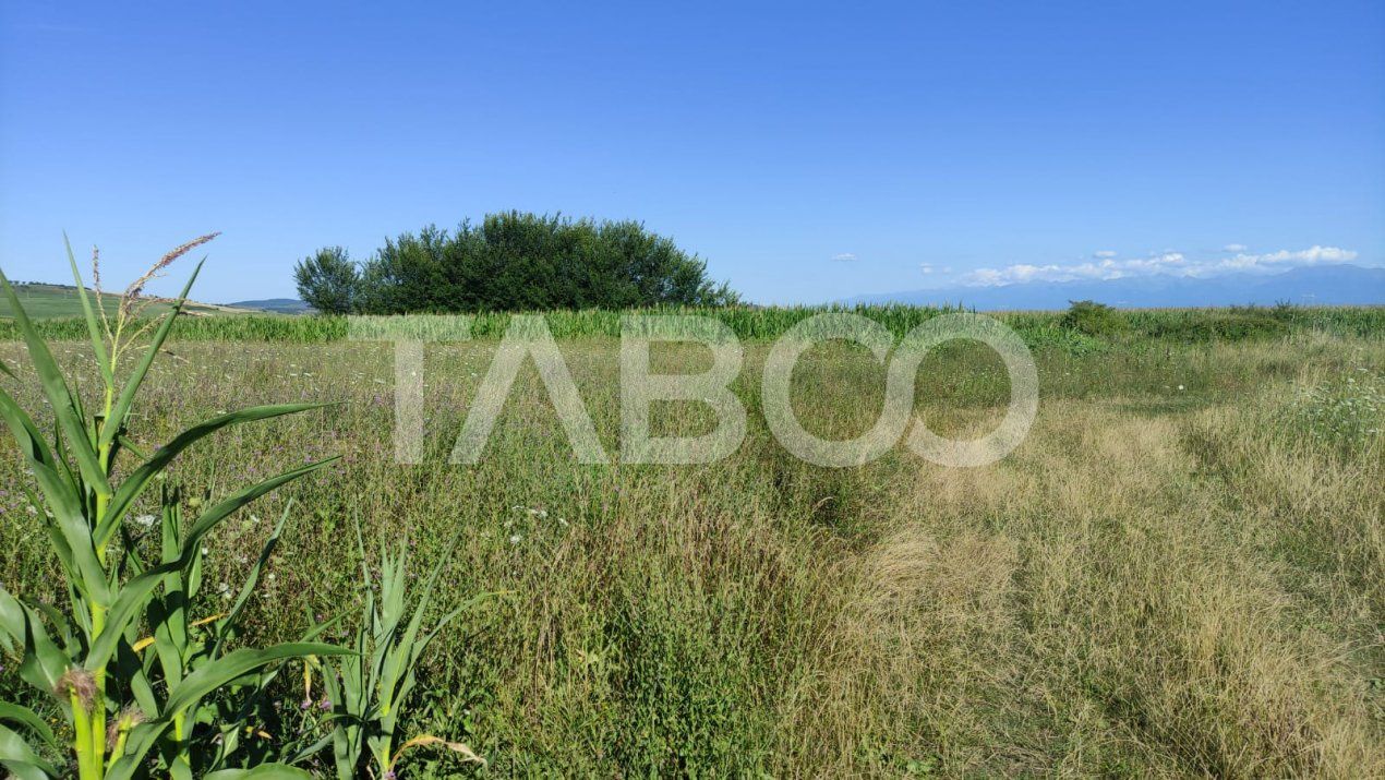 Teren extravilan de vanzare 25920 mp in Sura Mica Sibiu – fotografia 3 din 7