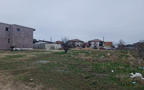 Anunturi vanzari terenuri in Palazu Mare