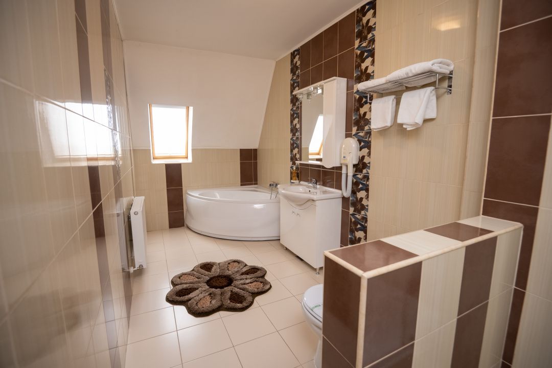 Hotel Miky Arad de vanzare | Investitie cu utilizari multiple | 42 camere cazare – fotografia 14 din 66