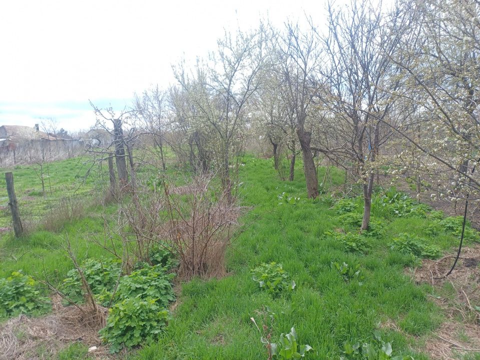✨Vilă P+1 în Amara | 1.170 mp Teren | Toate utilitățile | Str. Băilor✨ – fotografia 14 din 14