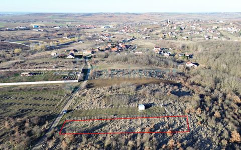 Teren intravilan in apropiere de padure, Paleu, Bihor