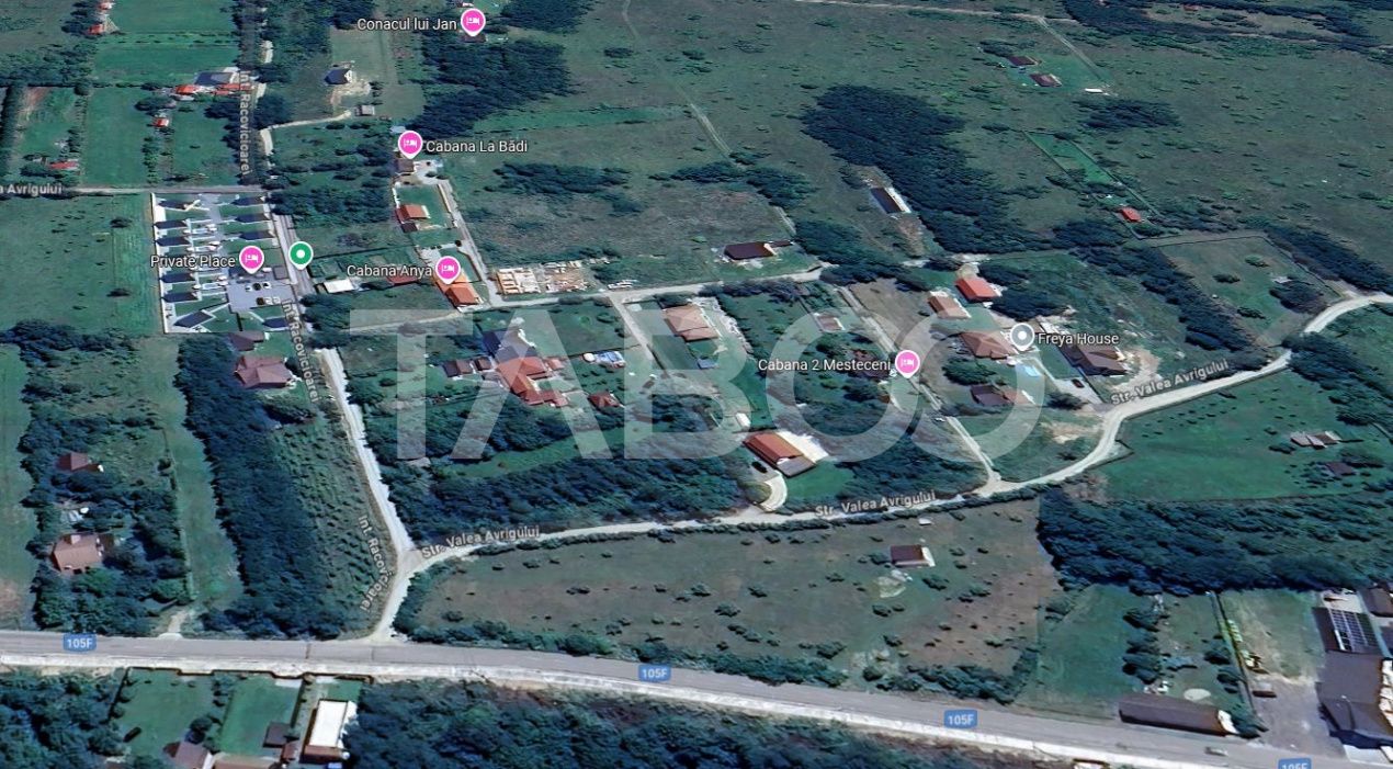 Teren intravilan 2050m acces auto zona turistica Valea Avrigului – fotografia 3 din 3
