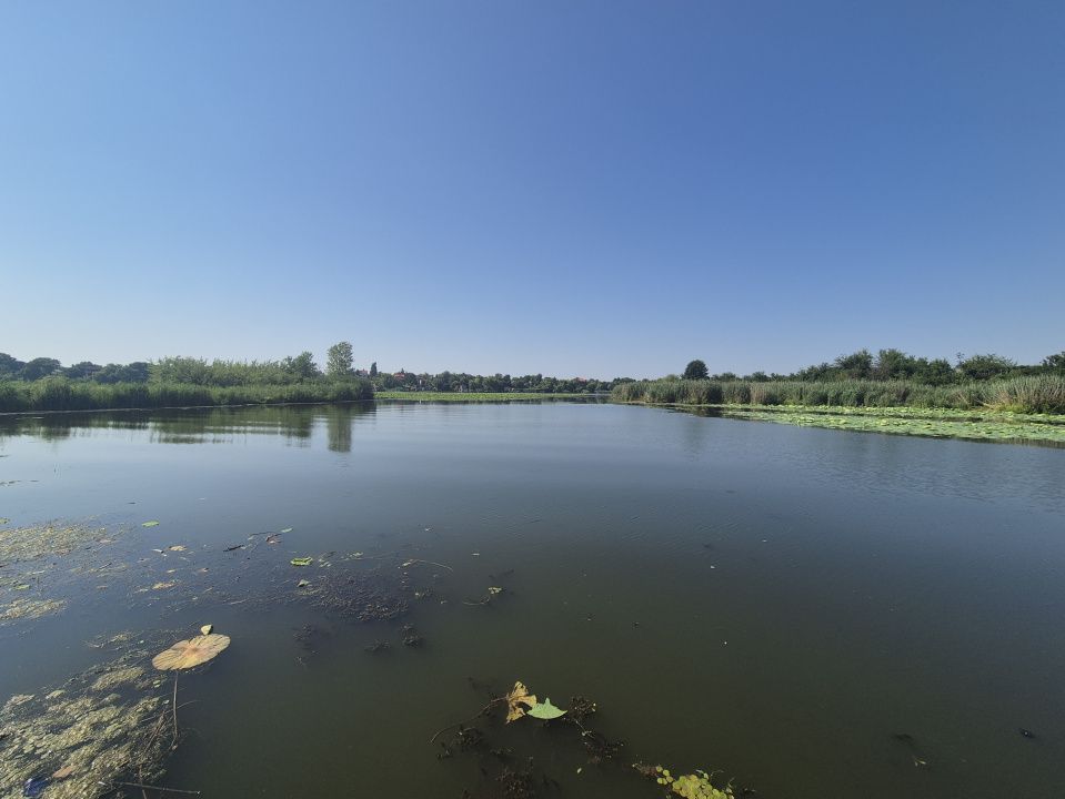Izvorani - Teren cu deschidere generoasă la lacul Snagov – fotografia 2 din 9