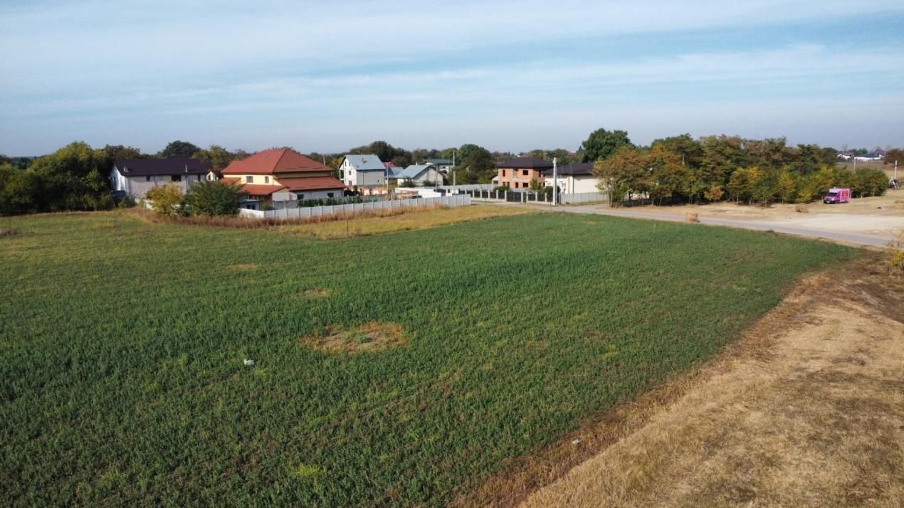 Dascălu -Teren intravilan arabil 7.182 mp – fotografia 11 din 13