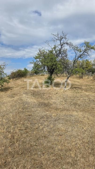 Teren de vanzare 8.300 mp Plesi Loman judetul Alba – fotografia 8 din 10