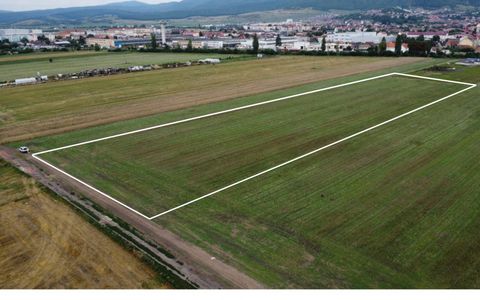 Teren industrial  Codlea – intravilan, ideal hala/depozit/ logistica